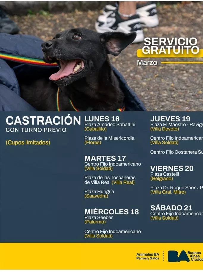 Calendario castración