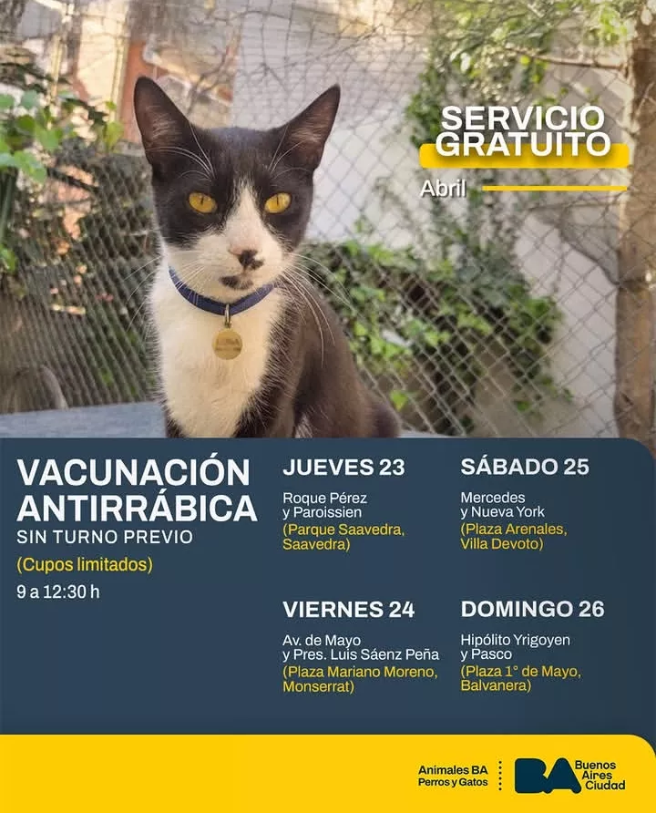 Vacunación Antirrábica