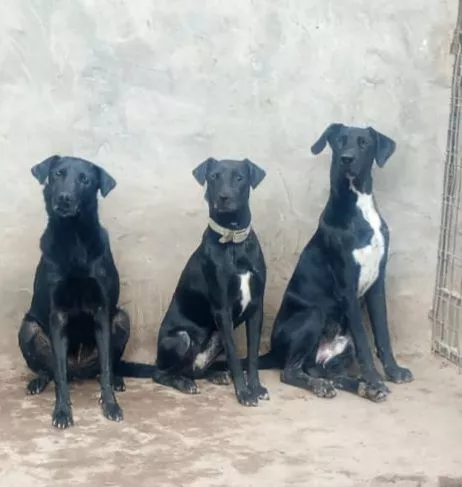 Juliana Vera Pablito