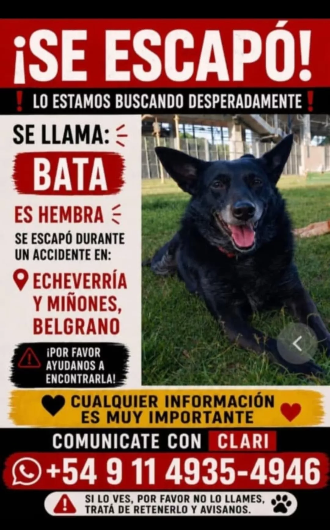 Bata