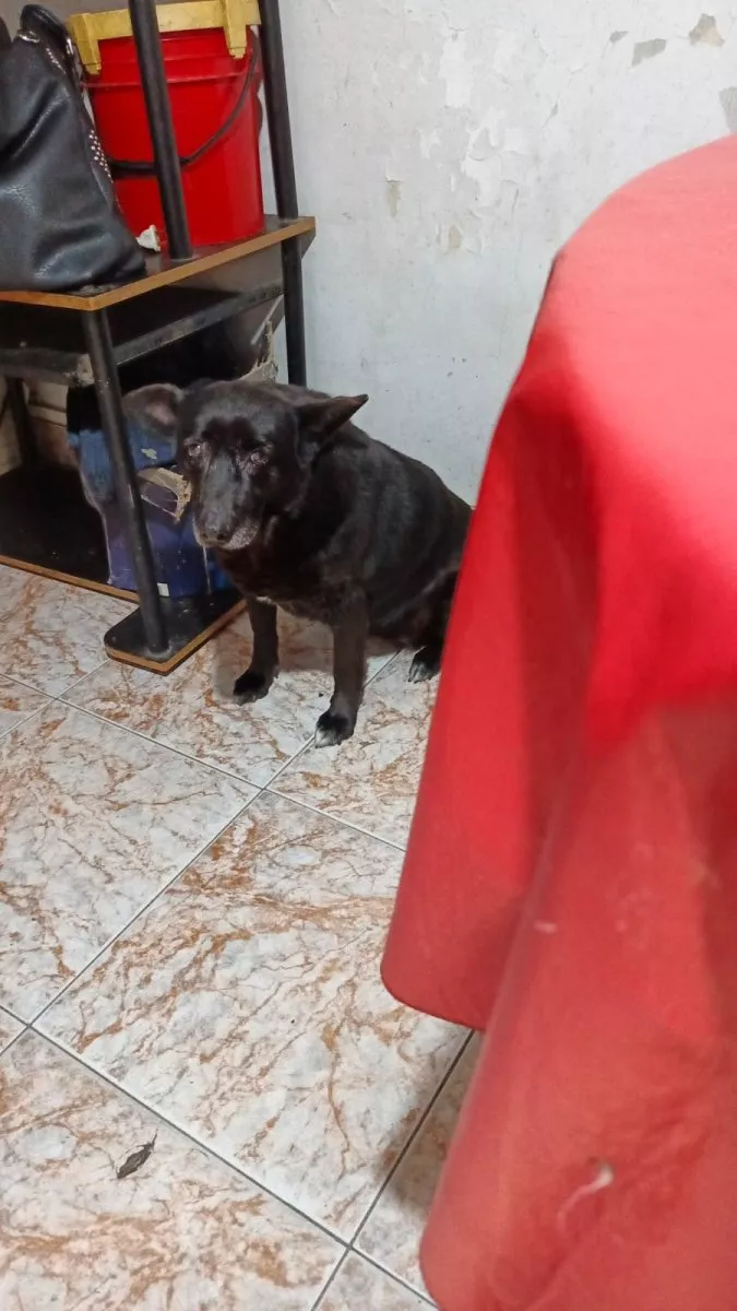 Vicky